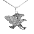 Colgante de águila de acero inoxidable pulido con alas detalladas en cadena plateada - Color Acero
