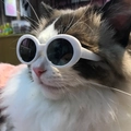 Lunettes de soleil blanches