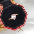 Elegant gold open ring featuring a large pinkish-purple freshwater pearl in a gift box - 7-8mm (Adjustable) / Purple