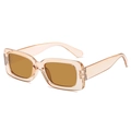 Retro rectangular sunglasses with champagne transparent frames and brown lenses - Transparent Tea Frame Tea Lens