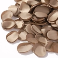 Golden silk rose petals with singed edges for wedding and party decorations - Gold Satin (48)