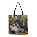 Husky in Fallen Leaves (hm5151)