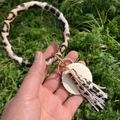 Leopard print PU leather keychain wristlet bracelet with tassel and gold hardware - Tiger Print