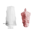 Moule en silicone pour bougie crâne à couronne avec moule et échantillon fini rose - Crâne à Couronne