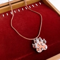 Détail du pendentif patte d'animal argenté avec motif léopard sur velours rouge - Style de Patte à Imprimé Léopard (WN2060)