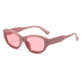 Occhiali da sole retrò cat-eye da donna in rosa opaco con lenti sfumate rosa - Montatura Rosa Lente Rosa Chiaro