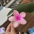 Pink frangipani flower hair claw clip in translucent resin for high ponytail hairstyles - Plumeria Jelly Texture / Rose Pink