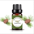 Cedarwood natural essential oil 10ml bottle with pine branches and pine cones on white - 10ml / Cedar