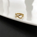 Jz-88 Titanium Stalen Ring Goud