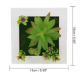 Square white faux wood frame with vibrant artificial succulents and moss 15cm x 15cm - Style 26A