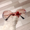 Pink gradient rimless sunglasses with rhinestone trim and gold metal temples - Champagne