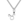 Minimalist stainless steel Taurus zodiac pendant necklace in polished silver finish - Taurus / Steel