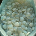 Bulk milky white opal heart stones for home decor and crafts displayed in a blue container - High Quality Opalite