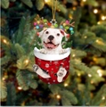 Weihnachtssocken-Hundedekoration mit weißem Pitbull, Rentiergeweih und bunten Lichtern - Weißer Pitbull