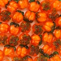 Polished orange glass pumpkin beads with green stems for DIY jewelry making - Pumpkin Bead