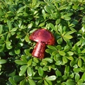 Close-up of a red mushroom disco ball ornament nestled in vibrant green garden shrubs - 10*10CM / Red