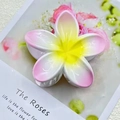 8cm Solid Color Spray Gradient Pink Standard