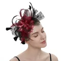 Elegant fascinator hat with black feathers and burgundy mesh flower for horse racing - Black Wine Red
