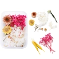 Flat lay of pink and yellow dried flower assortment for DIY resin and candle crafts - 08 Dried Flower 1 Box 33g