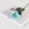 Artificial blue velvet rose stem with green leaves on magazine for home decor - Large Round Lake Blue