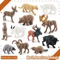 Set of 12 realistic North American wildlife animal toy figures weighing 105g - North American Animals Set 105g