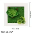 White wood frame with artificial succulent and green moss wall decor, 15cm square size - Style 25A