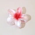 Pink gradient frangipani flower hair claw clip with a pearlescent finish and shark clip design - 8cm Pearly White-Red Core / Bulk Packaging