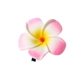 Pink and yellow gradient frangipani hair clip with pearl center for beach styling - 8cm / Pink