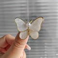 Detailed macro of a gold-trimmed butterfly brooch with mother of pearl and a central pearl - White Butterfly