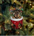 Weihnachtsanhänger mit braunem Welpen in roter Tasche und festlicher Beleuchtung - Hänge-Stil F