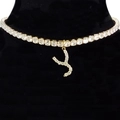 Sparkling gold choker necklace with letter Y pendant inlaid with white zircons - Letter Y [Gold]