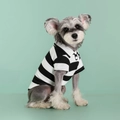 Close-up of black and white striped dog polo shirt with breathable mesh cotton fabric - Black & White Stripes