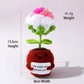 Handmade crochet pink flower pot doll with positive message and cute smiling face - Positive Potted-Gradient Rose Red Rose