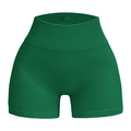 Dark green seamless high waisted yoga shorts with ribbed texture and elastic fit - Dark Green
