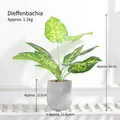 Artificial Dieffenbachia plant in grey cement pot, 42cm high for home decor - Evergreen - Cement Basin Artificial Flower Ornament