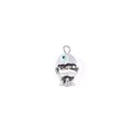 Hand-painted glass fish pendant with black and white stripes and blue eye detail - Rainbow Striped (Single Hole 10#)