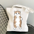 Kawaii cat printed white canvas tote bag with artistic orange cat illustration design - Ginger and White Cat Illustration