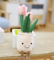 Plush tulip succulent in pink with a smiling face and corduroy leaves in a pot - Pink Tulip