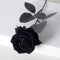 Elegant single black velvet artificial rose with thorny stem for gothic floral decoration - All Black