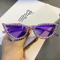 Detail of purple cat-eye sunglasses with colorful rhinestones on a semi-transparent frame - Purple Lens