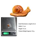 Miniature resin snail figurine with orange spiral shell for micro garden landscape - Snail