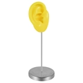 Yellow silicone ear model with silver metal display stand for jewelry and hearing aids - Right Ear / Yellow