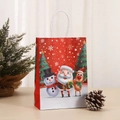 Christmas Partners Sky Style (020-6)