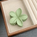 Elegant matte flower hair claw clip in sage green finish for women hair styling - Matte Five-Petal Flower / Green