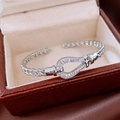 Detail of silver horseshoe bangle with pavé zircons in a vintage jewelry box - Silver