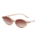 Y2K narrow oval sunglasses with translucent champagne frame and brown gradient lenses - Light Pink Frame Gradient Tea Lenses