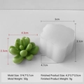 Succulent cactus silicone mold for resin or wax with 5x4.7x3.1cm mold dimensions - Succulent H-0559