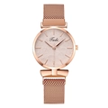 Women's rose gold quartz watch with leaf texture dial and magnetic Milanese mesh band - Beige Dial Rose Gold Strap