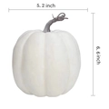 5.2x6.6inch No.2 Large White Pumpkin