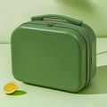 Mini valigia trucco da 14 pollici verde erba portatile con guscio ABS e doppia zip - Verde Frutta